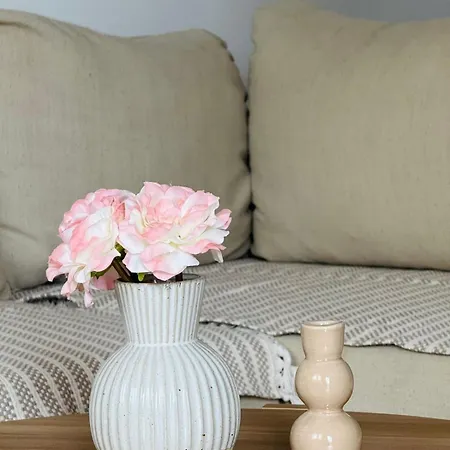 Comfort Corner Apartment Podgorica